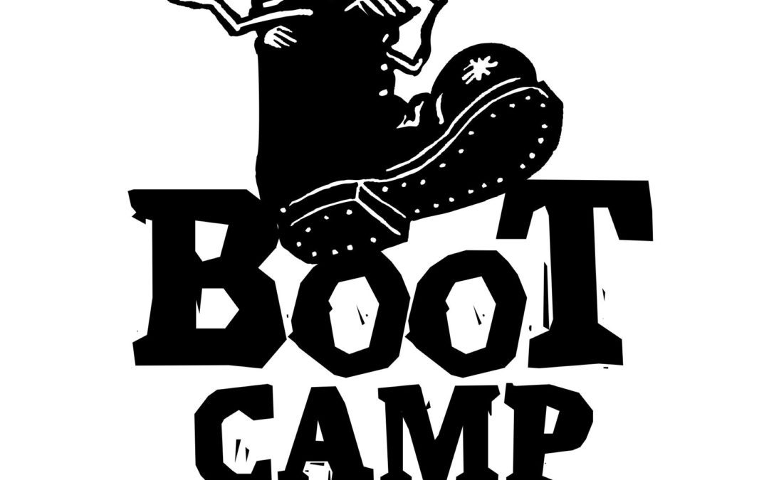 Starting Soon : team.i Bootcamps